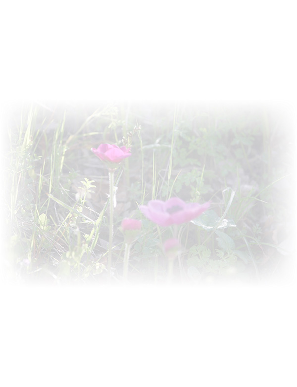 Law of Attraction Card - Image 3