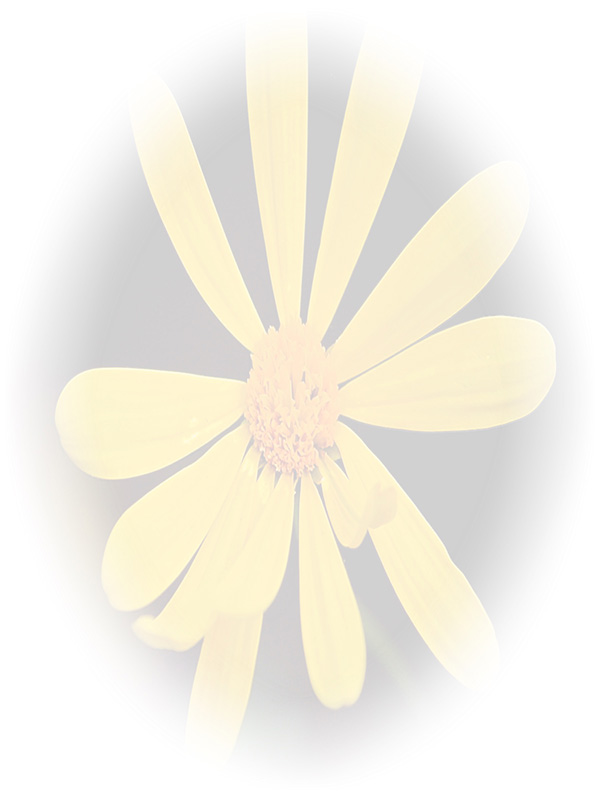Law of Attraction Card - Image 3