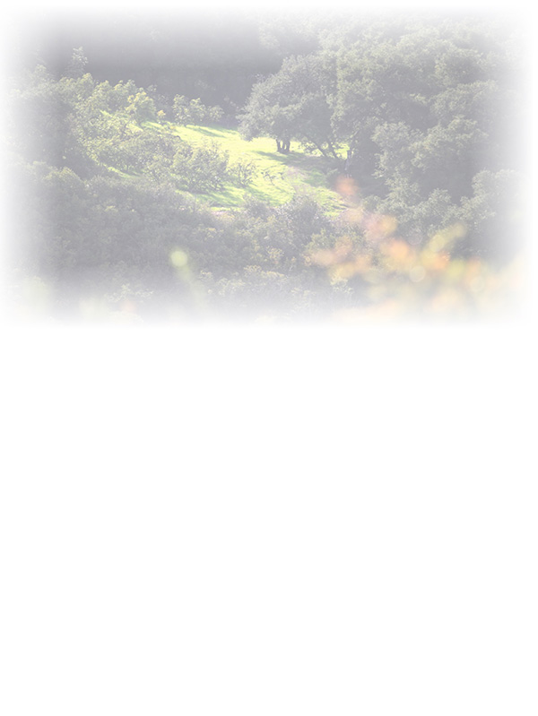 Law of Attraction Card - Image 3