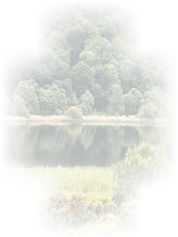 Law of Attraction Card - Image 3