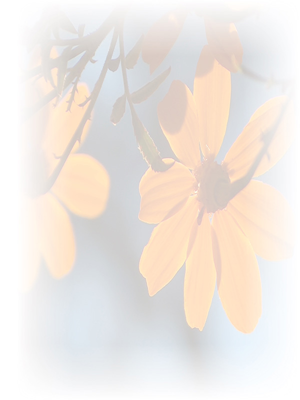 Law of Attraction Card - Image 3