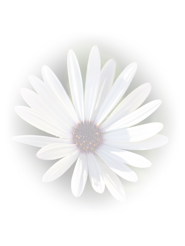 Law of Attraction Card - Image 3