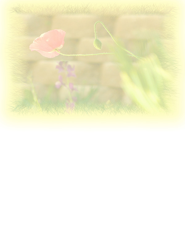 Law of Attraction Card - Image 3