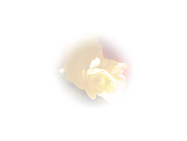 Law of Attraction Card - Image 3