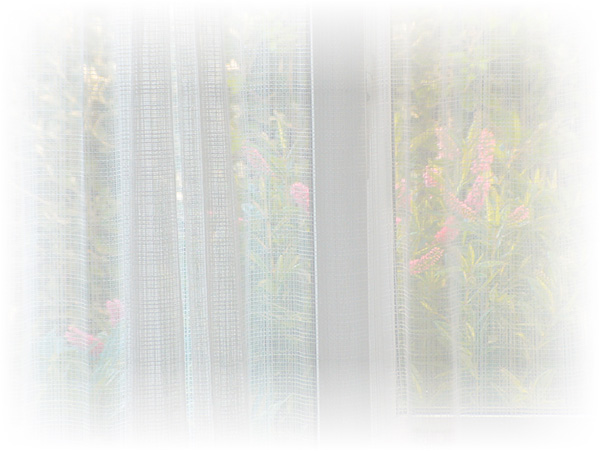 Law of Attraction Card - Image 3