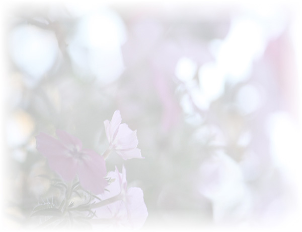 Law of Attraction Card - Image 3