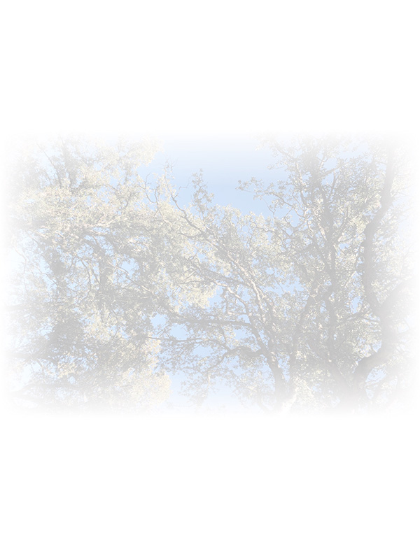 Law of Attraction Card - Image 3