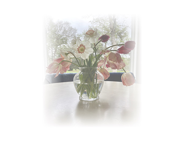 Law of Attraction Card - Image 3