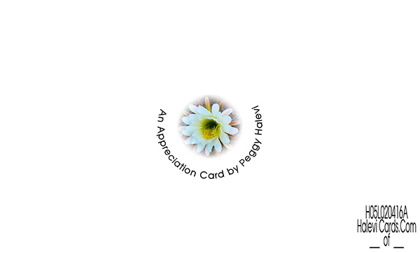 Law of Attraction Card - Image 2