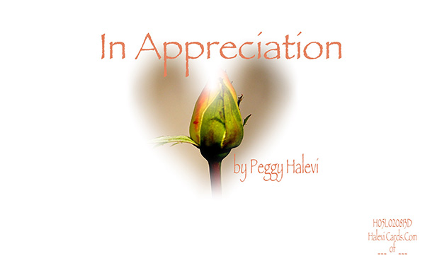 Law of Attraction Card - Image 2
