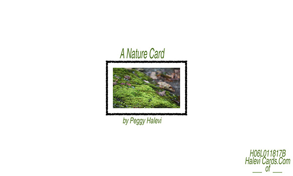 Law of Attraction Card - Image 2