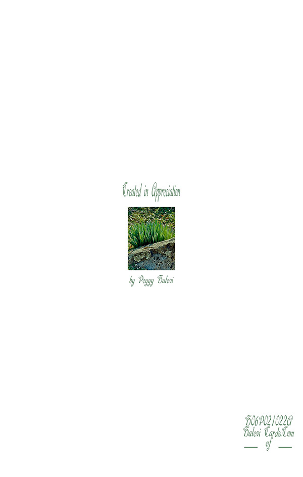 Law of Attraction Card - Image 2