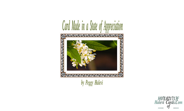 Law of Attraction Card - Image 2