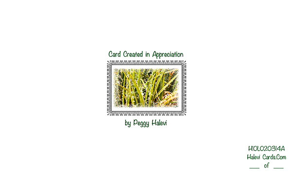 Law of Attraction Card - Image 2