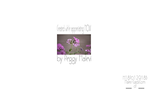 Law of Attraction Card - Image 2