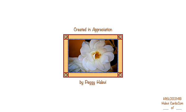Law of Attraction Card - Image 2