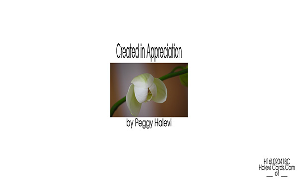 Law of Attraction Card - Image 2