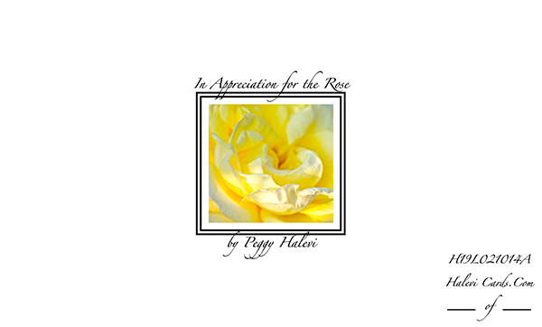 Law of Attraction Card - Image 2