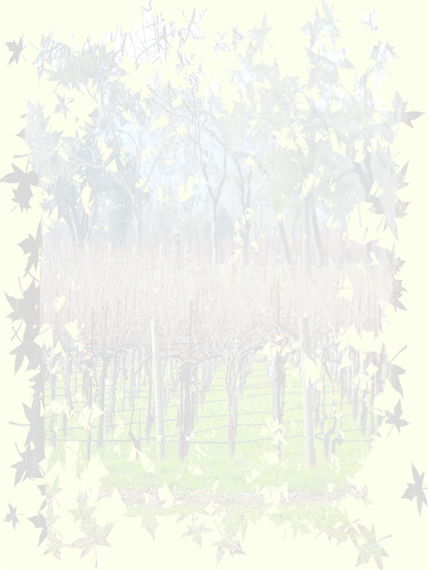 Law of Attraction Card - Image 3