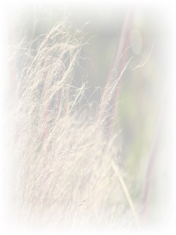 Law of Attraction Card - Image 3