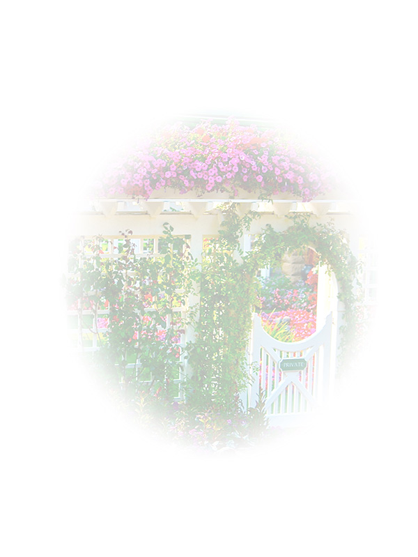 Law of Attraction Card - Image 3