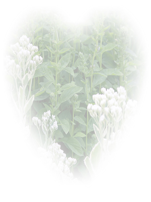 Law of Attraction Card - Image 3