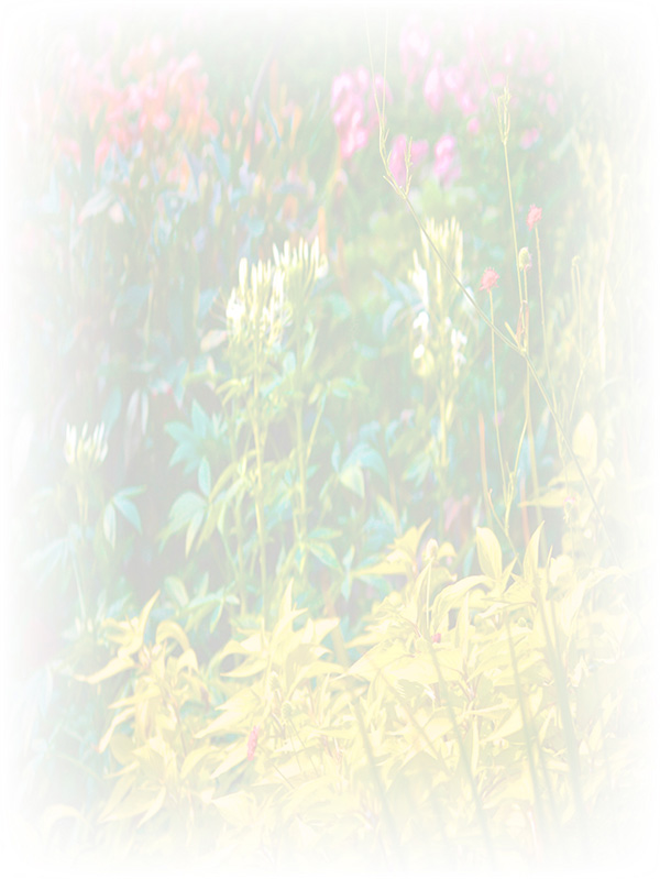 Law of Attraction Card - Image 3