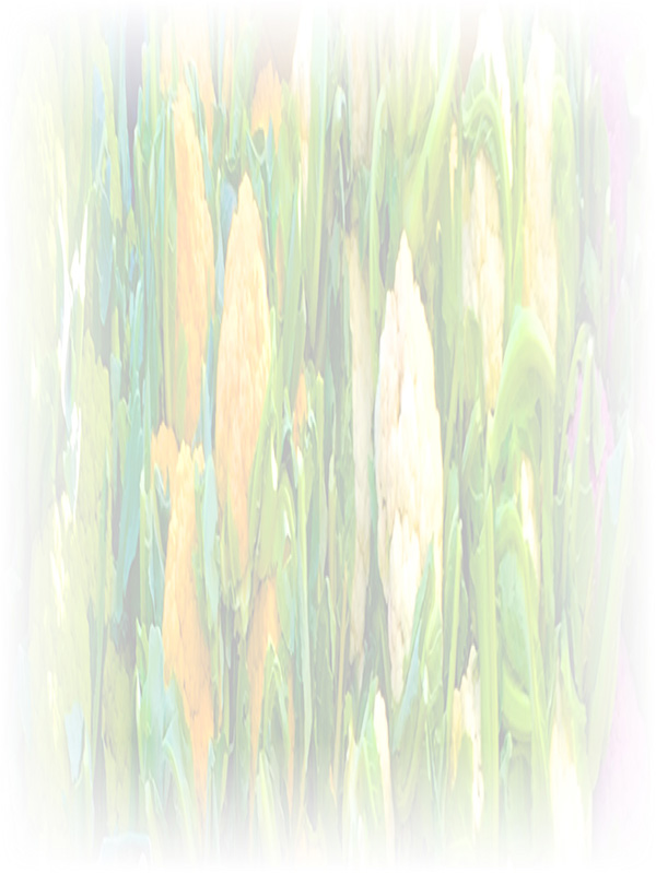 Law of Attraction Card - Image 3