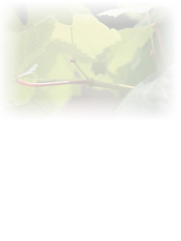 Law of Attraction Card - Image 3