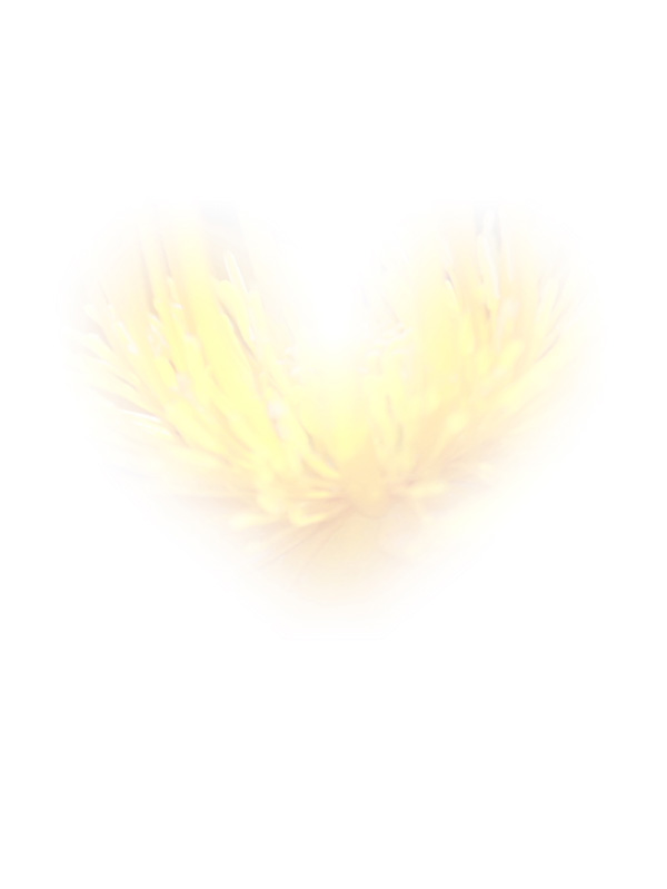 Law of Attraction Card - Image 3