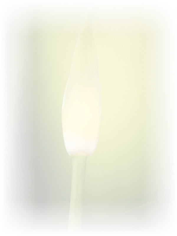 Law of Attraction Card - Image 3