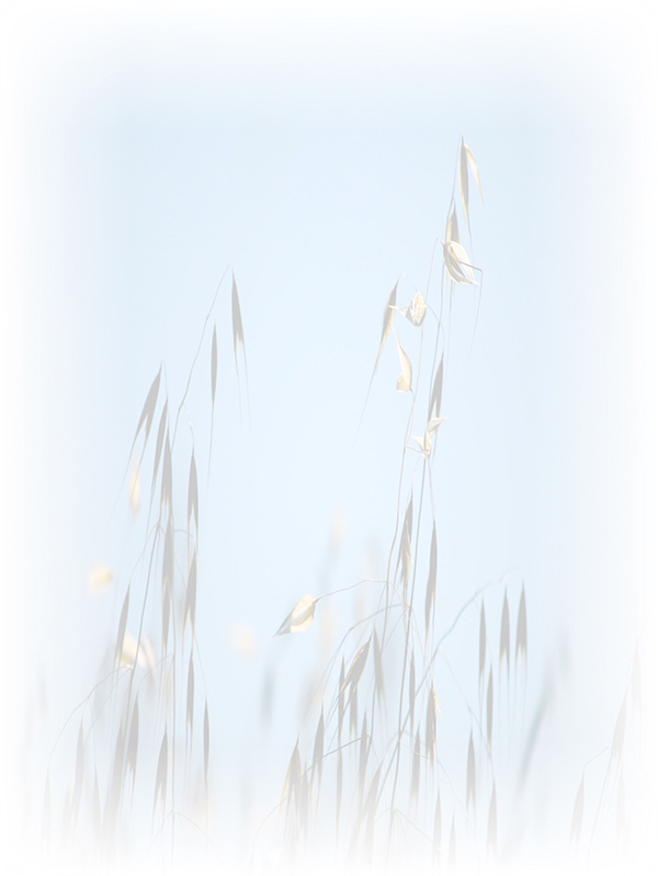 Law of Attraction Card - Image 3