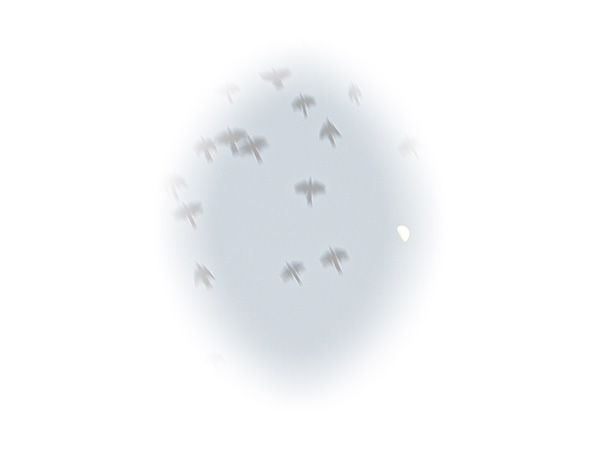 Law of Attraction Card - Image 3