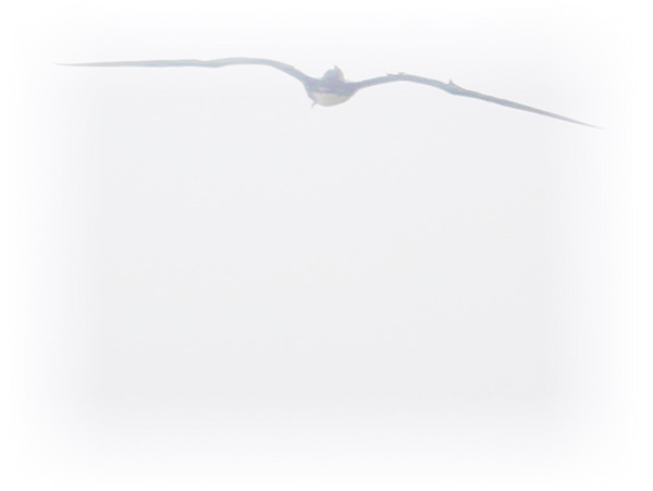 Law of Attraction Card - Image 3