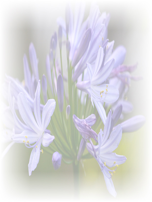 Law of Attraction Card - Image 3