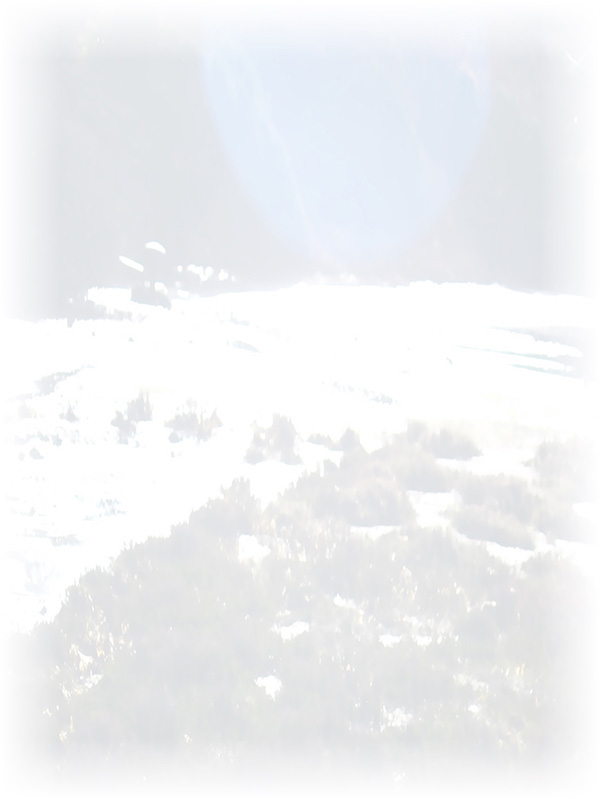 Law of Attraction Card - Image 3