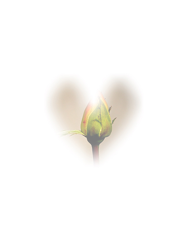 Law of Attraction Card - Image 3