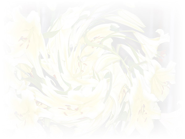 Law of Attraction Card - Image 3
