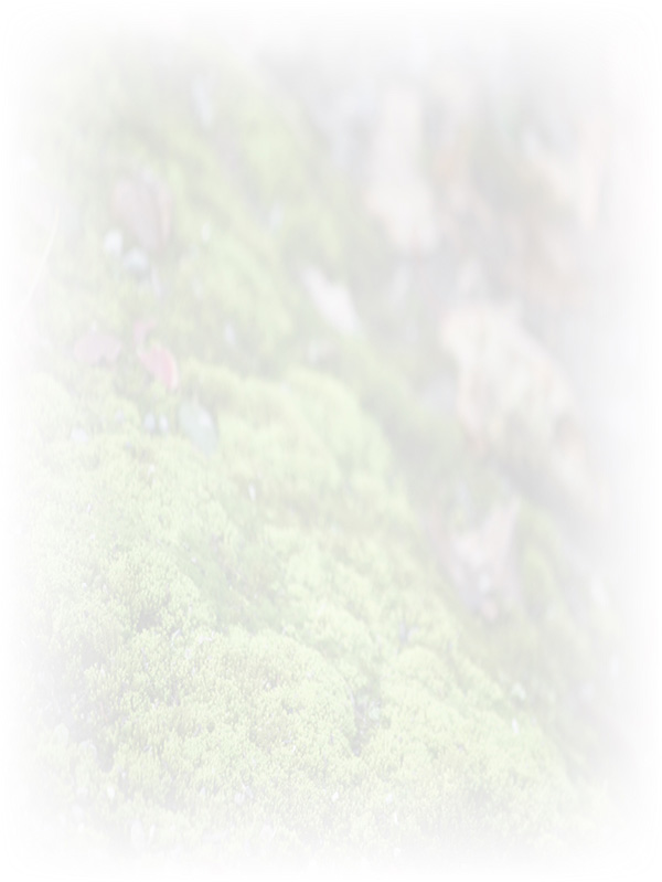 Law of Attraction Card - Image 3
