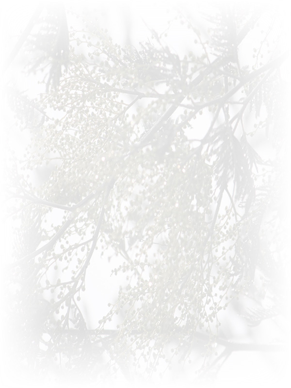 Law of Attraction Card - Image 3