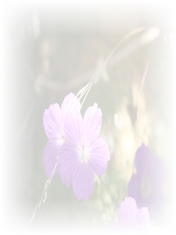 Law of Attraction Card - Image 3