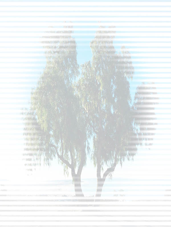 Law of Attraction Card - Image 3