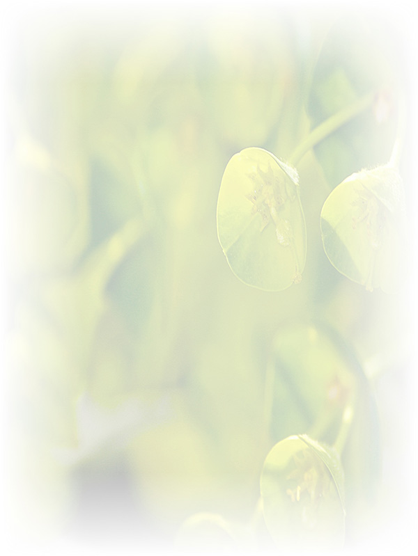 Law of Attraction Card - Image 3