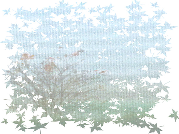 Law of Attraction Card - Image 3