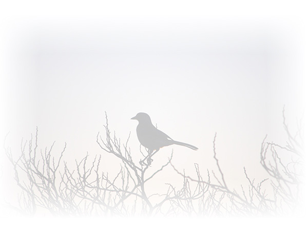 Law of Attraction Card - Image 3
