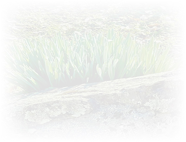 Law of Attraction Card - Image 3