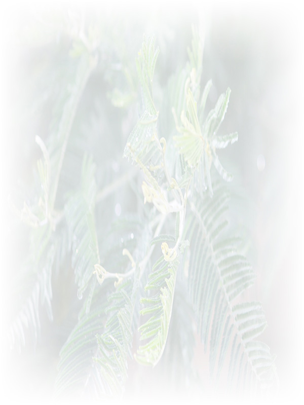 Law of Attraction Card - Image 3