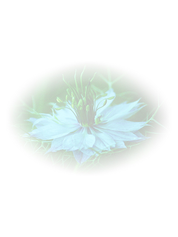 Law of Attraction Card - Image 3