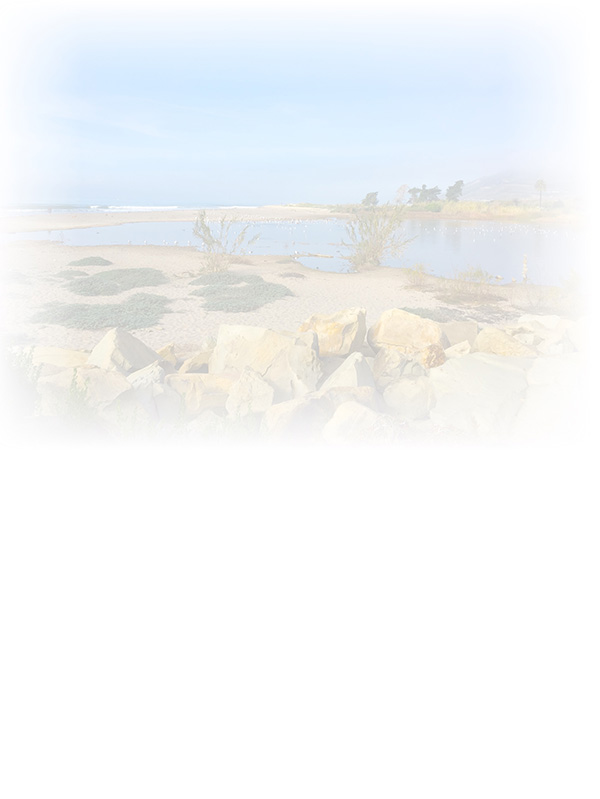 Law of Attraction Card - Image 3