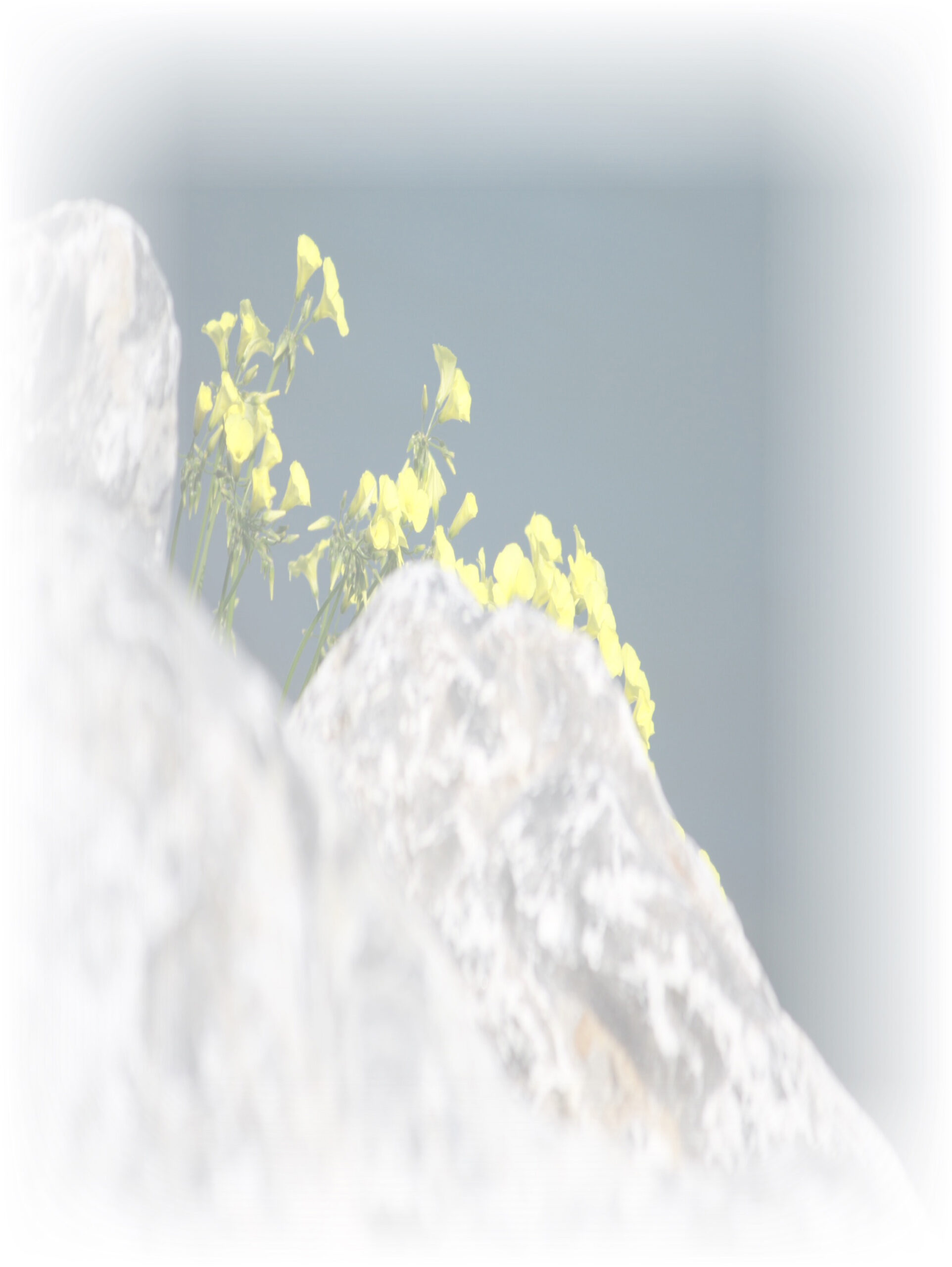 Law of Attraction Card - Image 3